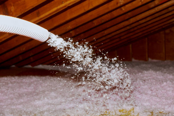 Best Blown-in Insulation  in Arial, SC