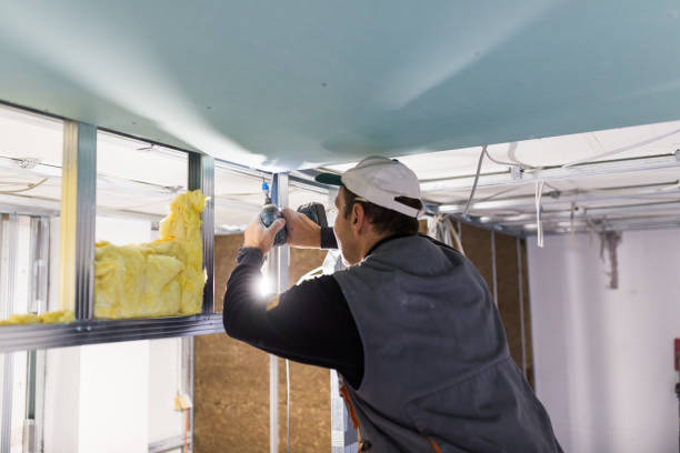 Best Insulation Installation Cost  in Arial, SC