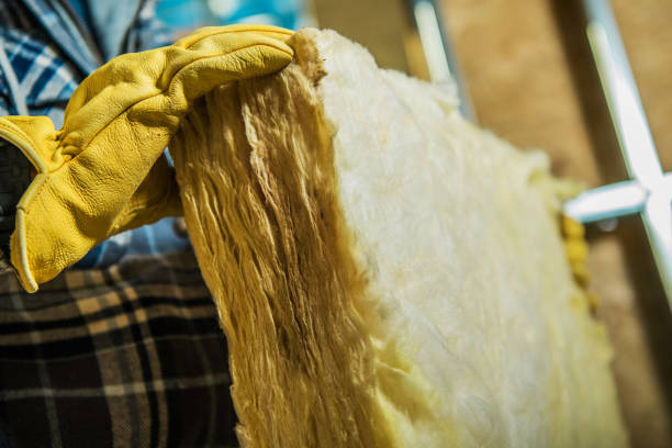 Best Insulation Repair Services  in Arial, SC