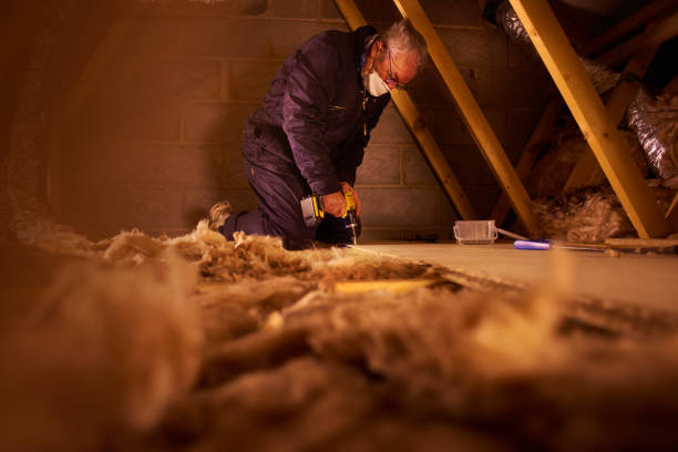 Best Insulation Contractors for Homes  in Arial, SC